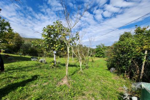 Istra, Buzet, Sovinak - ne građevinsko zemljište 25,70 ha