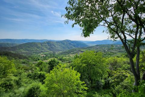 Istra, Buzet, Sovinak - ne građevinsko zemljište 25,70 ha