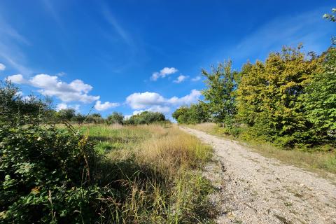 Istra, Buzet, Sovinak - ne građevinsko zemljište 25,70 ha