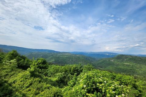 Istra, Sovinak, Sirotići - ne građevinsko zemljište 2,00 ha