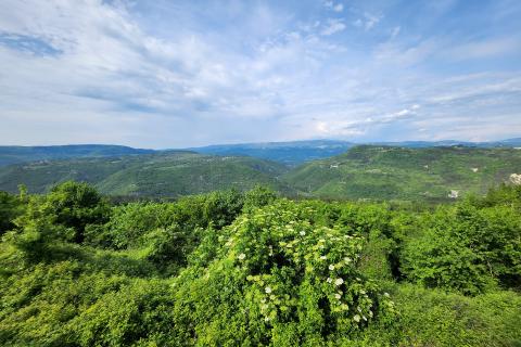 Istra, Sovinak, Sirotići - ne građevinsko zemljište 2,00 ha