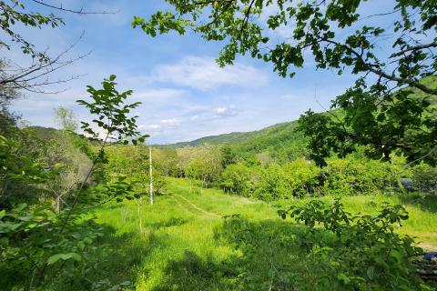 Istra, Sovinak, Sirotići - ne građevinsko zemljište 2,00 ha