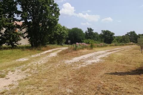 Istra, Vodnjan, imanje s maslinama i dozvolom za gradnju