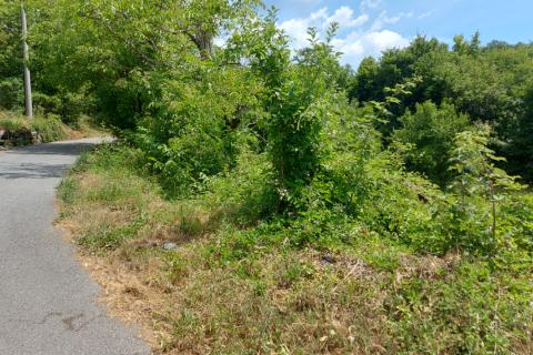 Matulji - Zvoneća, negrađevinsko zemljište