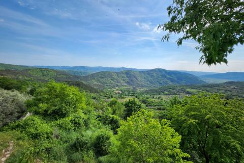 Istra, Buzet, Sovinak - ne građevinsko zemljište  3,7 ha