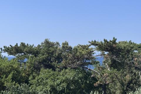 Grad Krk - kuća prvi red do mora