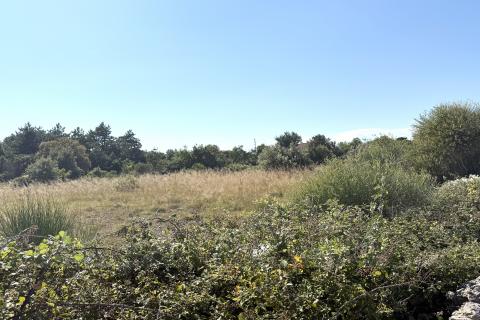 Belej, otok Cres, Poljoprivredno zemljište