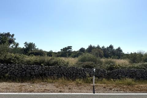 Belej, otok Cres, Poljoprivredno zemljište