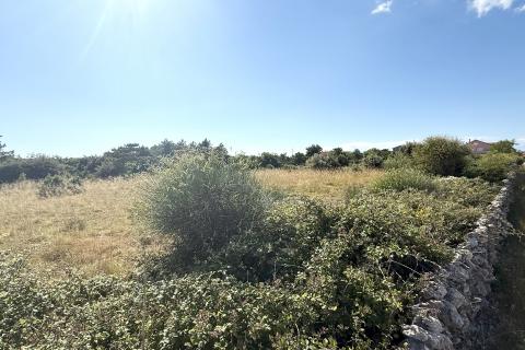 Belej, otok Cres, Poljoprivredno zemljište