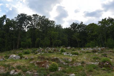 Bouwgrond Rukavac, Matulji, 2.205m2