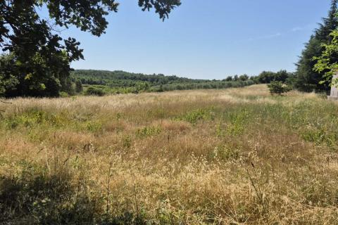 Building plot Višnjan, 5.029m2