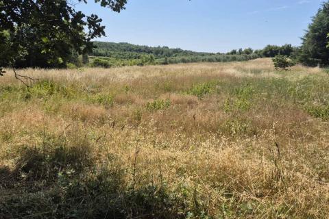 Building plot Višnjan, 5.029m2