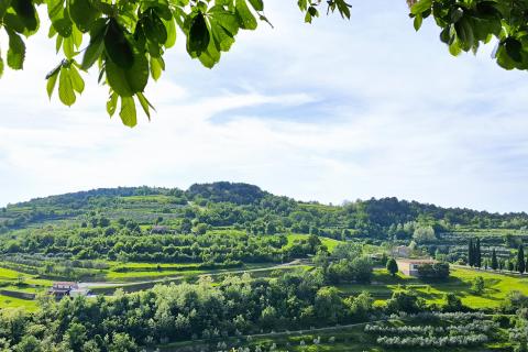 Istra, Oprtalj, kamena kuća za adaptaciju