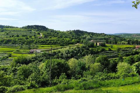 Istra, Oprtalj, kamena kuća za adaptaciju