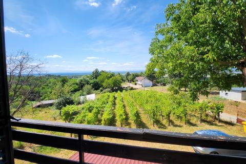 Popovača, Gračenica, kuća 150m2, vinograd, šuma