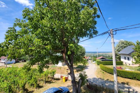 Popovača, Gračenica, kuća 150m2, vinograd, šuma