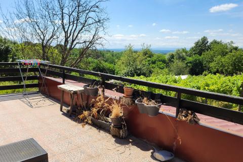 Popovača, Gračenica, kuća 150m2, vinograd, šuma