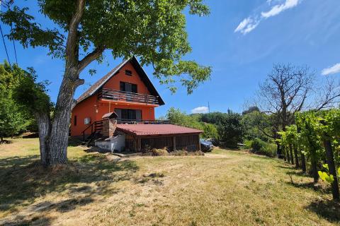 Popovača, Gračenica, kuća 150m2, vinograd, šuma