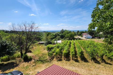 Popovača, Gračenica, kuća 150m2, vinograd, šuma