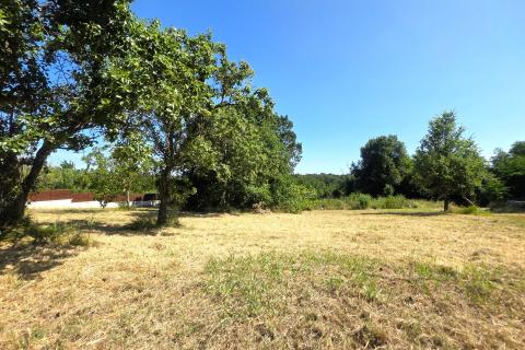 Istra,Brtonigla,Građevinsko zemljište u centru 