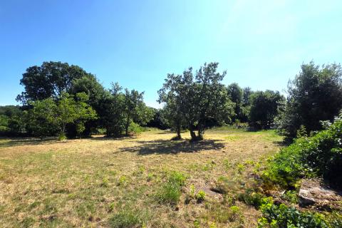 Istra,Brtonigla,Građevinsko zemljište u centru 