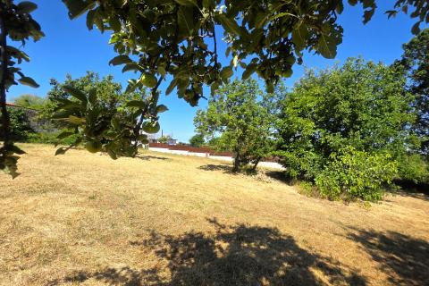 Istra,Brtonigla,Građevinsko zemljište u centru 