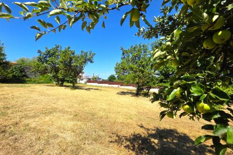 Istra,Brtonigla-Zemljište za gradnju u srcu Istre