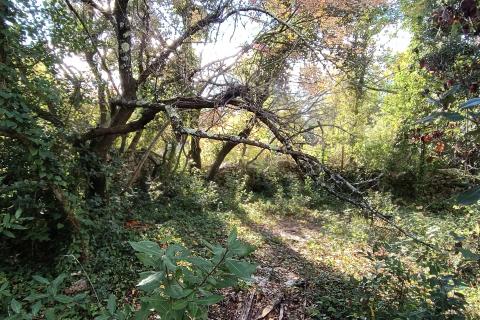 Peroj, Vodnjan, 482m2