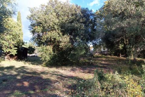 Peroj, Vodnjan, 482m2