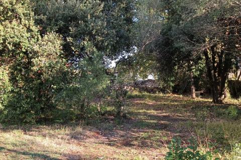 Peroj, Vodnjan, 482m2