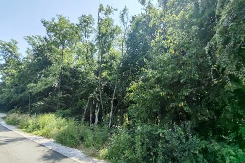 Samobor, Rakov Potok - negrađevinsko zemljište 812 m2