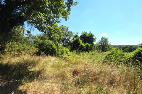 Istra,Brtonigla-Zemljište s asfaltiranim pristupom