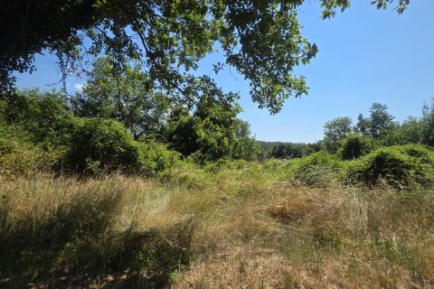 Istra,Brtonigla-Zemljište s asfaltiranim pristupom