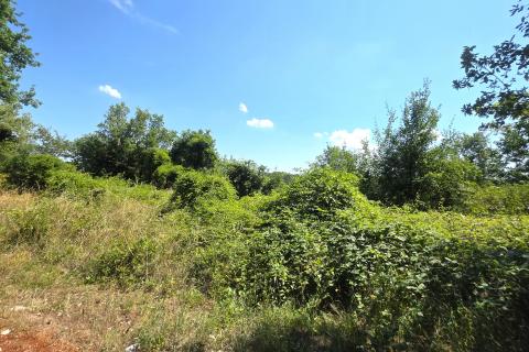 Istra,Brtonigla-Zemljište s asfaltiranim pristupom