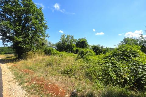 Istra,Brtonigla-Zemljište s asfaltiranim pristupom