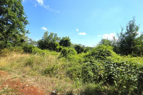 Istra,Brtonigla-Zemljište s asfaltiranim pristupom