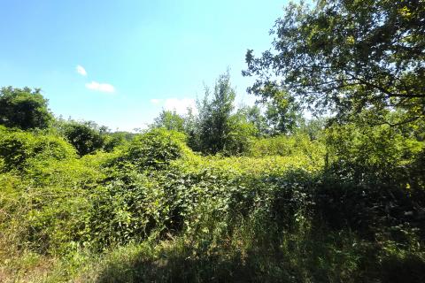 Istra,Brtonigla-Zemljište s asfaltiranim pristupom