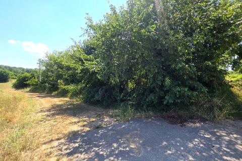 Istra,Brtonigla-Zemljište s asfaltiranim pristupom