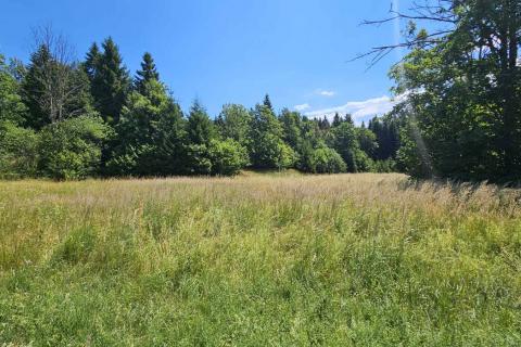 Delnice, građevinsko zemljište - 2400 m2