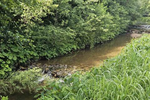 Kuća - 70 m2, Brod Moravice - uz rijeku