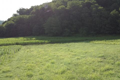 Terreno edificabile Tuheljske Toplice, Tuhelj, 2.518m2