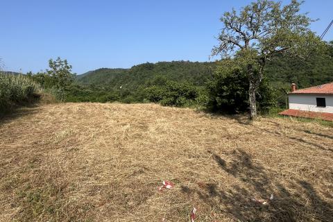 Istra, Buzet - okolica, građevinsko i poljoprivredno zemljište sa građevinskom dozvolom