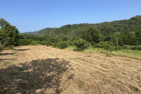 Istra, Buzet - okolica, građevinsko i poljoprivredno zemljište sa građevinskom dozvolom