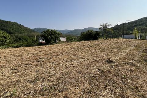 Istra, Buzet - okolica, građevinsko i poljoprivredno zemljište sa građevinskom dozvolom