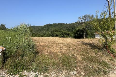 Istra, Buzet - okolica, građevinsko i poljoprivredno zemljište sa građevinskom dozvolom