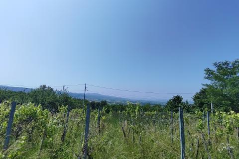 Svetonedeljski breg, poljoprivredno zemljište 6000 m2