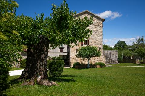 ISTRA, KANFANAR - Bellissima Casa in Pietra Istriana Autentica