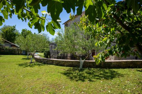 ISTRA, KANFANAR - Bellissima Casa in Pietra Istriana Autentica