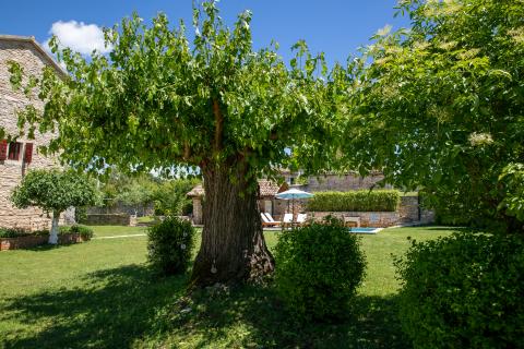 ISTRA, KANFANAR - Bellissima Casa in Pietra Istriana Autentica