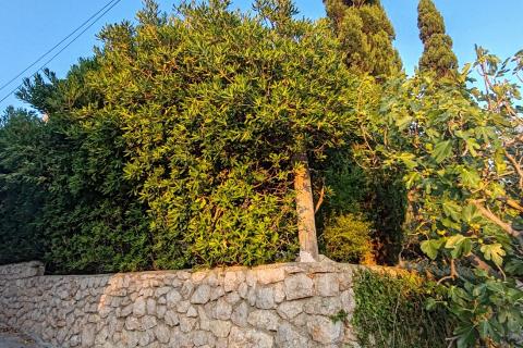 Rab, Barbat - kuća, blizina plaže